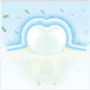 tooth 3