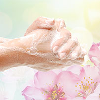 Palmolive Sabonete Líquido